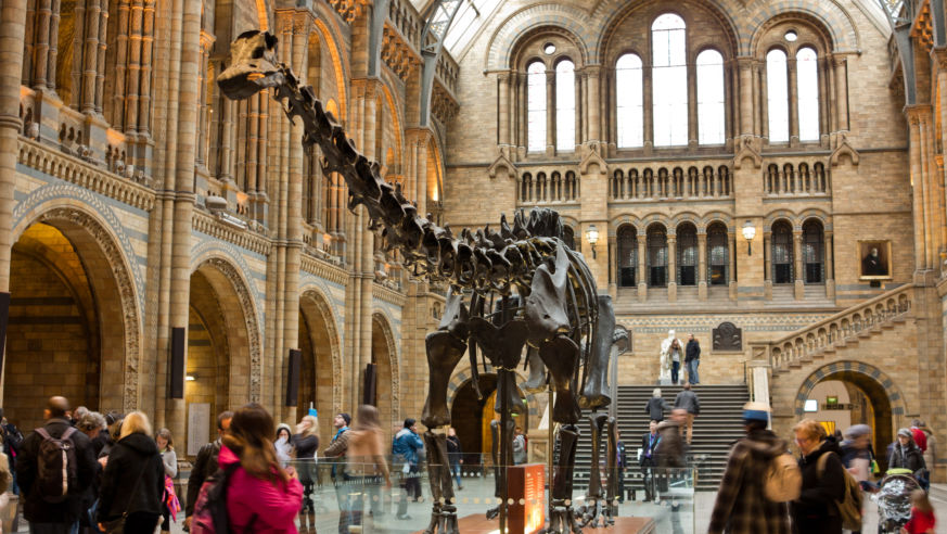 EuropeanCities_London_NaturalHistoryMuseum
