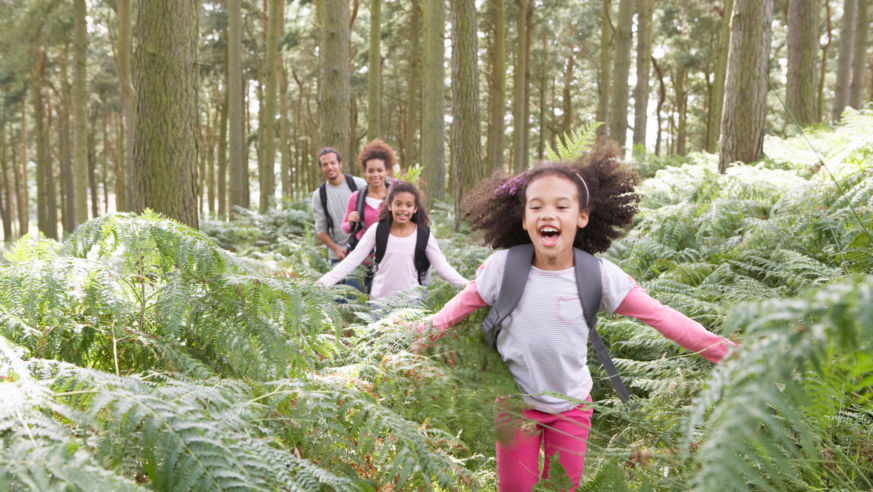 A family with young children hiking in the woods