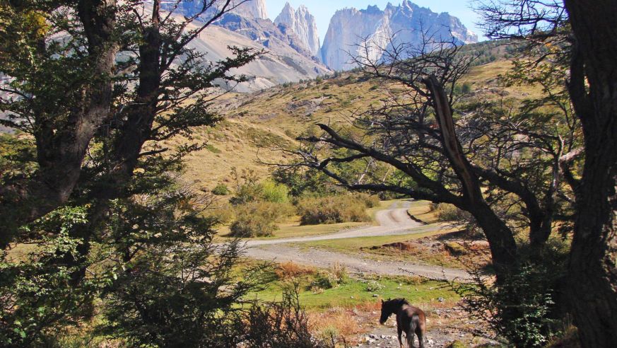Beautiful view at Torres del Paine in Chilean Patagonia.