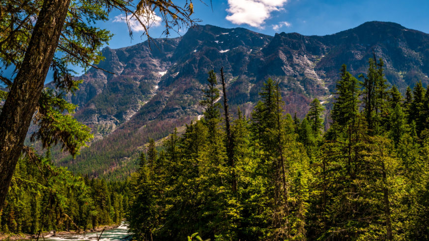 Glacier National Park, McDonald Creek