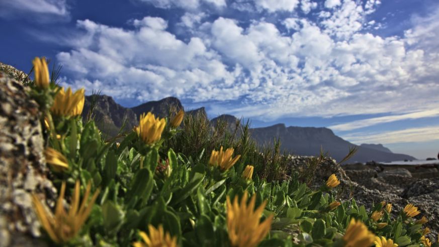 God's Window in Cape Town, South Africa