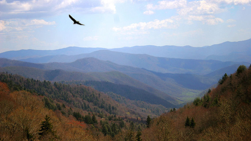 Great Smoky Mountains