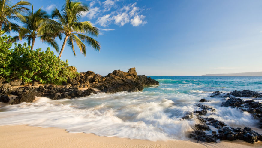 Beach in makena cove with palm tree and waves in south maui, hawaii