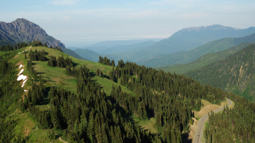 Hurricane Ridge, Olympic National Park, Washington State