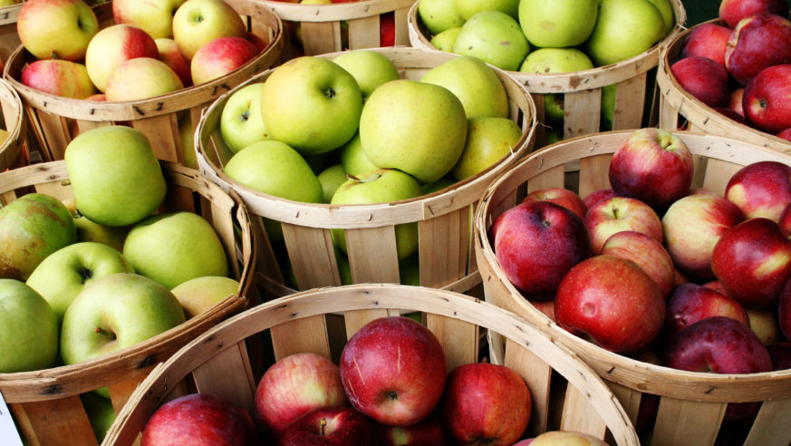 National Apple Harvest Festival