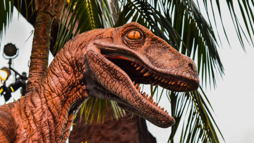 A view of a ferocious raptor's head from the Jurassic Park ride at Univesal Studios Hollywood