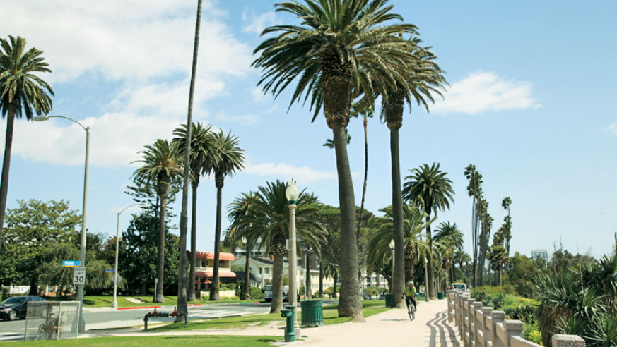 LA City Pages 2