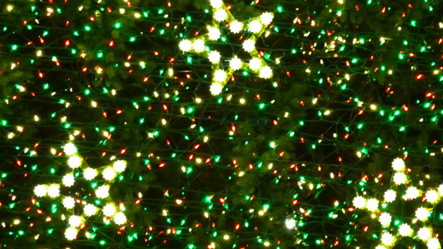Led lights at the national christmas tree