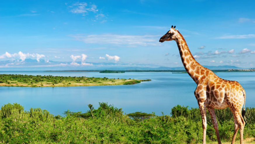 LegendaryRivers_Nile_1