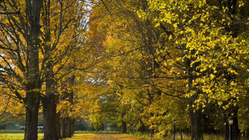 Lenox Massachusetts in Autumn Berkshires