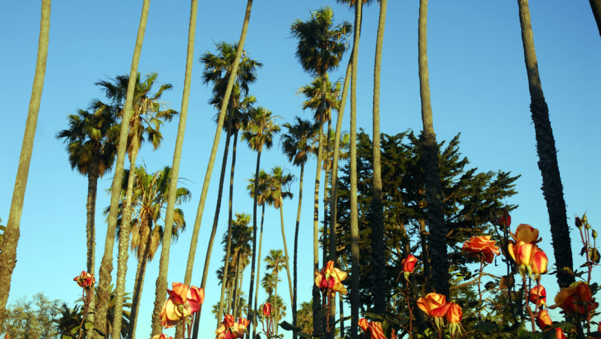 Lonely Planet - Los Angeles, California, United States of America