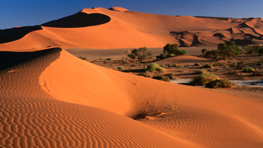 Namib sand dunes, Namibia Desert Park