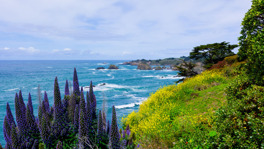 Mendocino, California, coast
