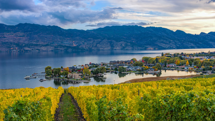 Okanagan Valley Wine