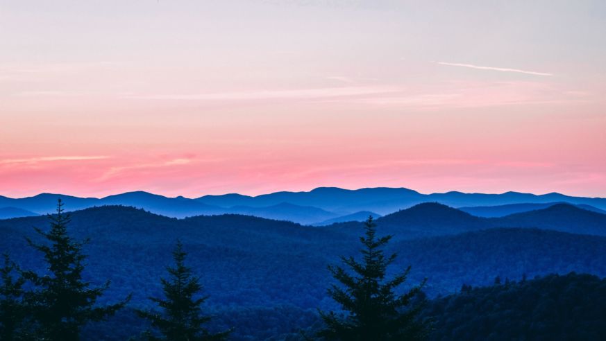 Patrick Bald Hdg Zmua Kusk Unsplash