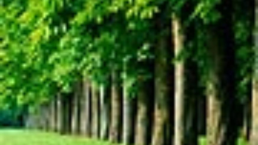 redesign_ecotourism