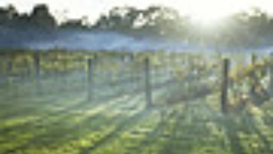 redesign_australiawine