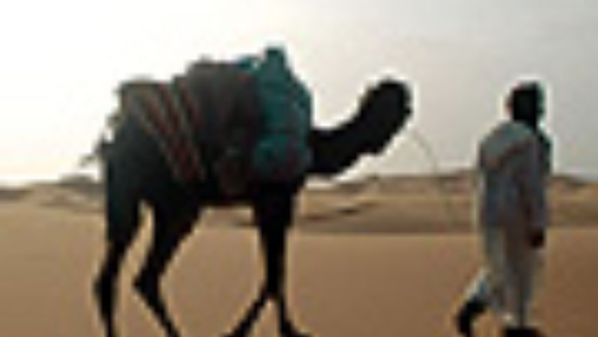 0703_dt_sahara