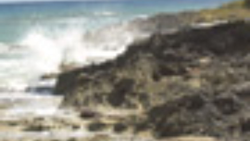0802_dominican