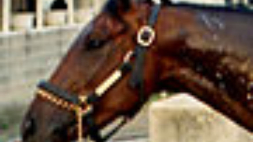 0803_rtkentucky