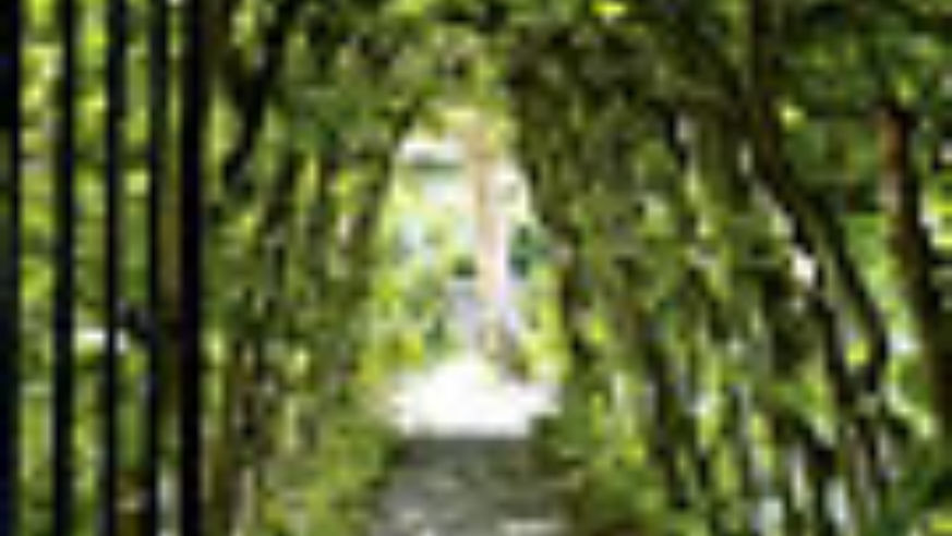 0805_garden