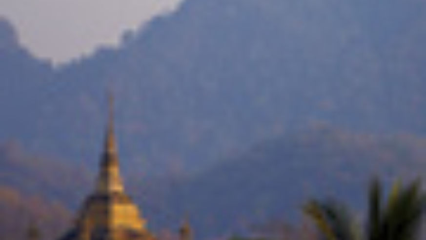 0804_perfectshot