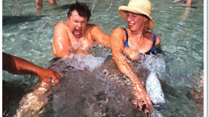 0804_stingray_animals