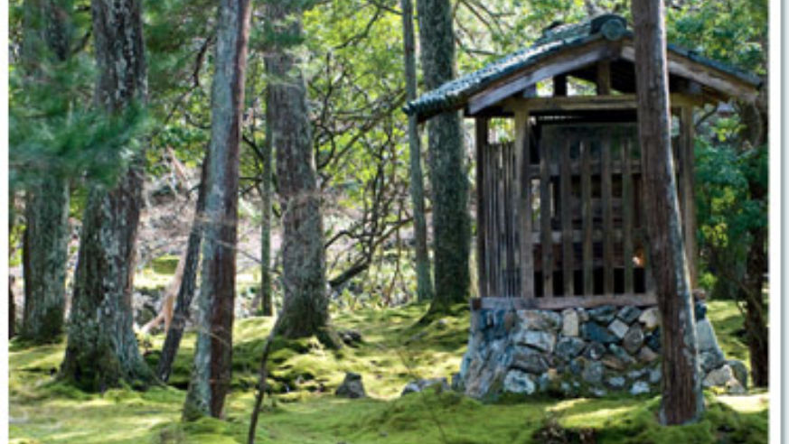 0807_konnichiwa