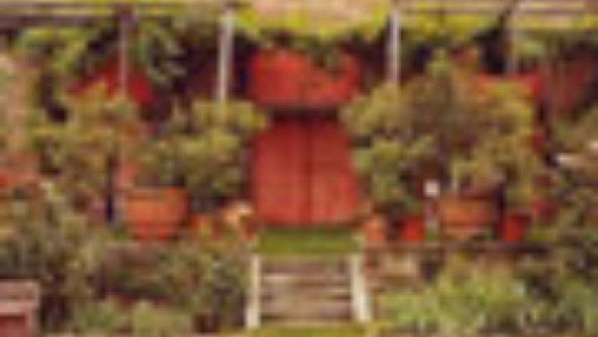 0507_tuscany
