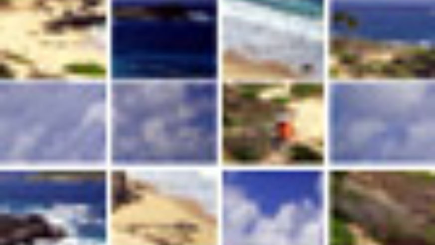 0808_globus_hawaii