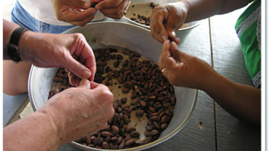 0809_belizechocolate