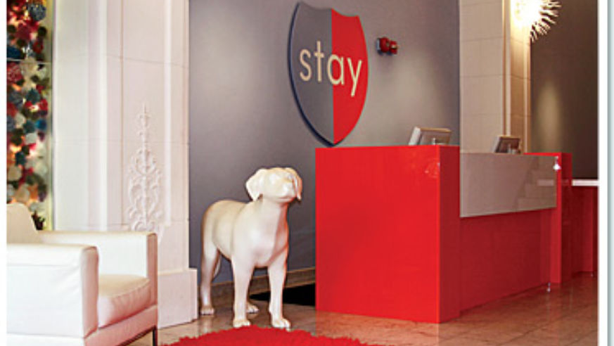 A pair of fiberglass Labrador retrievers greets guests