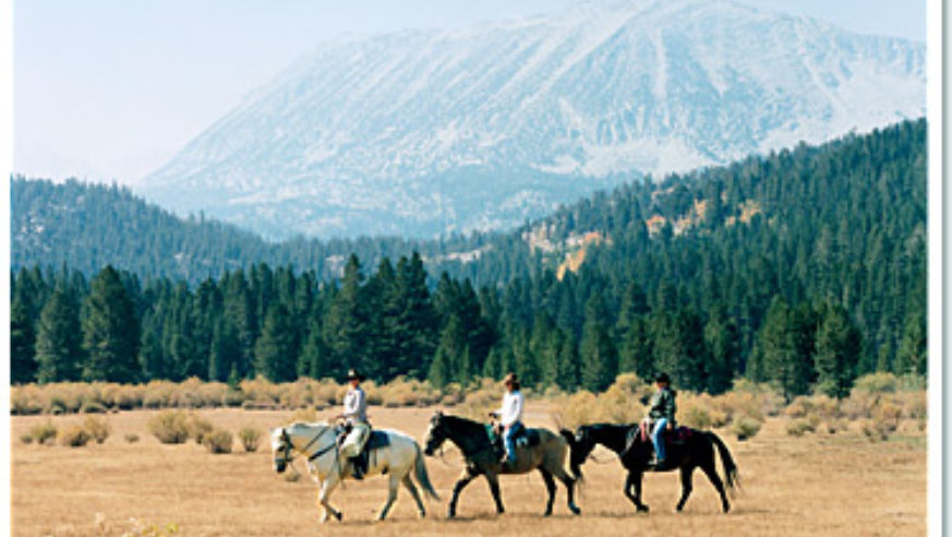 At Rock Creek Pack Station in the Sierras