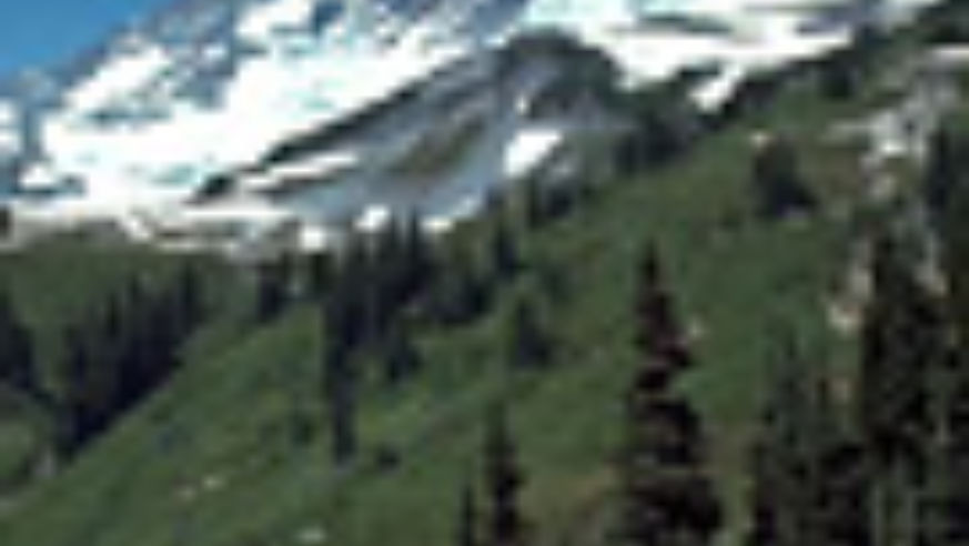 Mount Rainier National Park