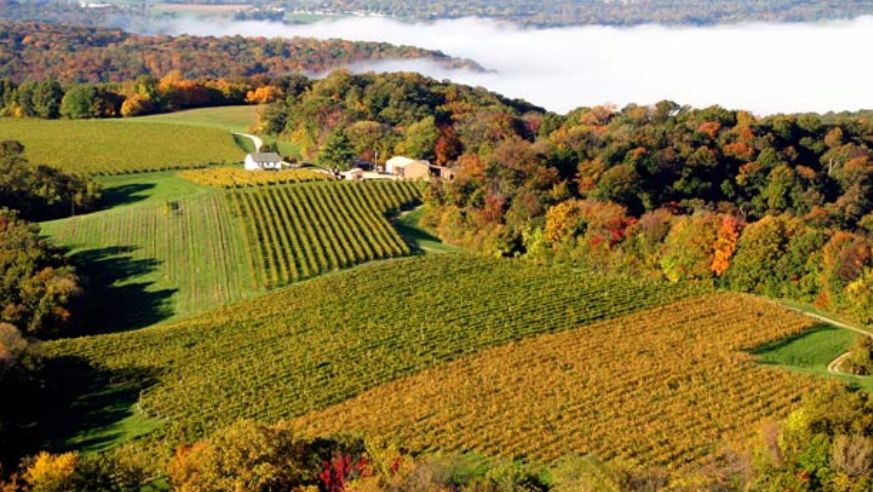 Stone Hill Winery
