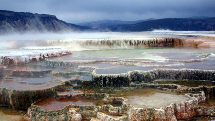 Canary Springs at Yellowstone National Park