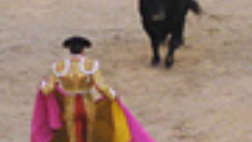 exitintmadrid_bullfighter