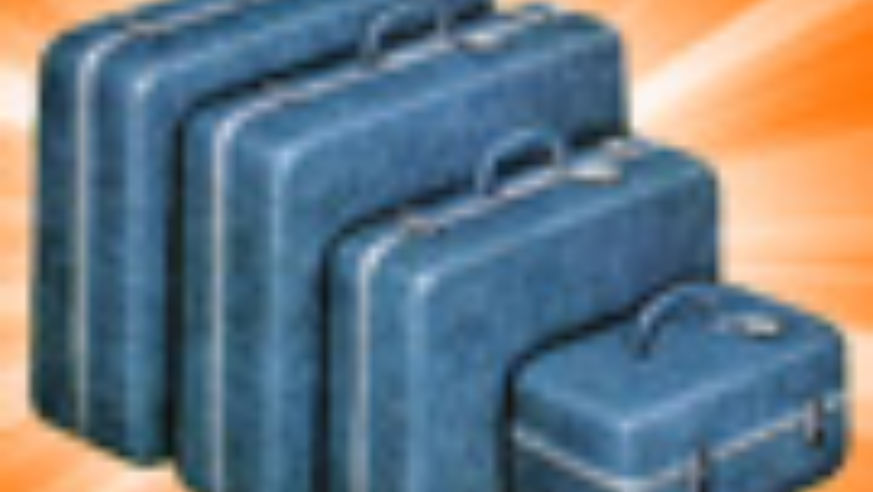 101130_suitcase