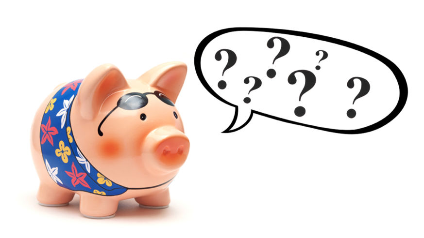 Phrases_TouristPigSpeechBubble