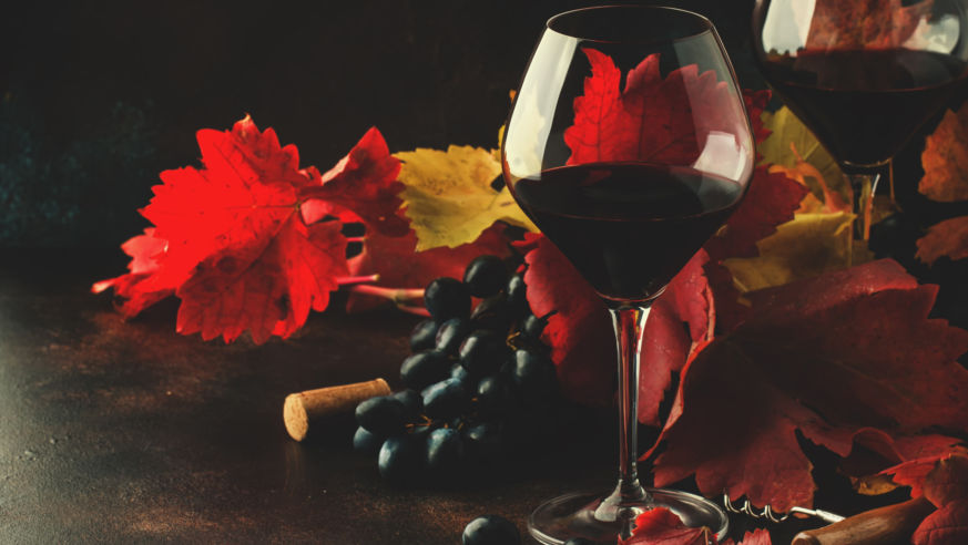Pint Noir Wineglass with Fall Leaves