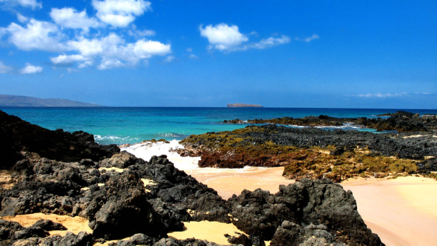 realdeals-maui