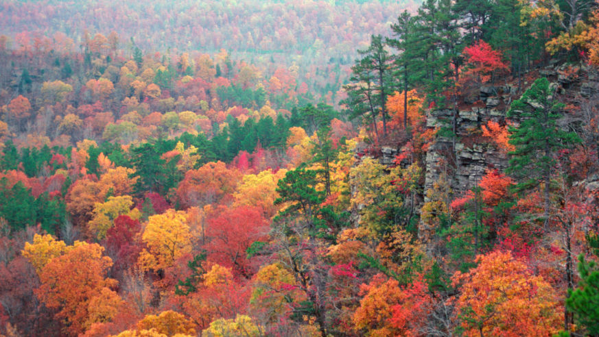 hidden, valley, arkansas, fall, color