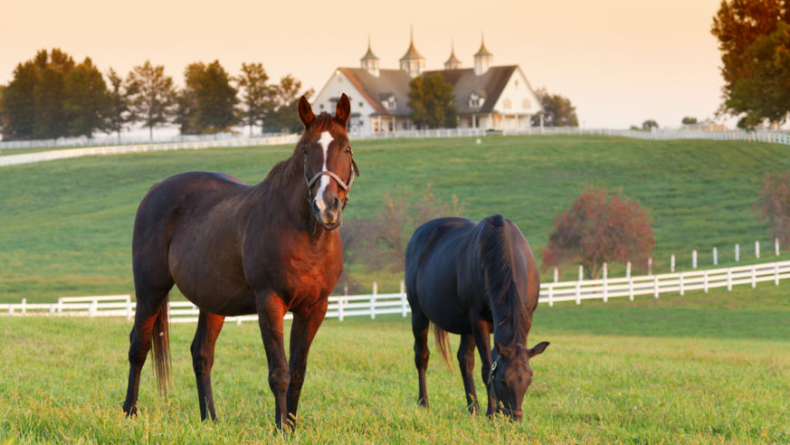roadtrip_app_kentucky_hoursecountry