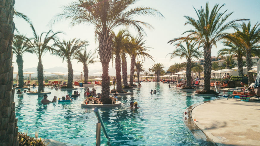 Palm trees in pool