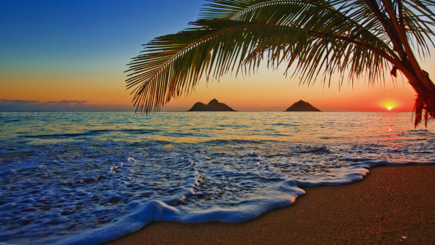 Shutterstock Rf 37633864