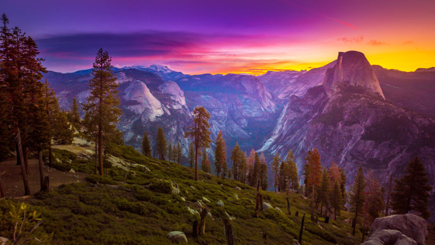 Shutterstock Rf 477545791