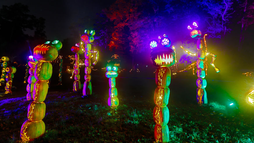 Sleepy Hollow Jack O'Lantern Blaze