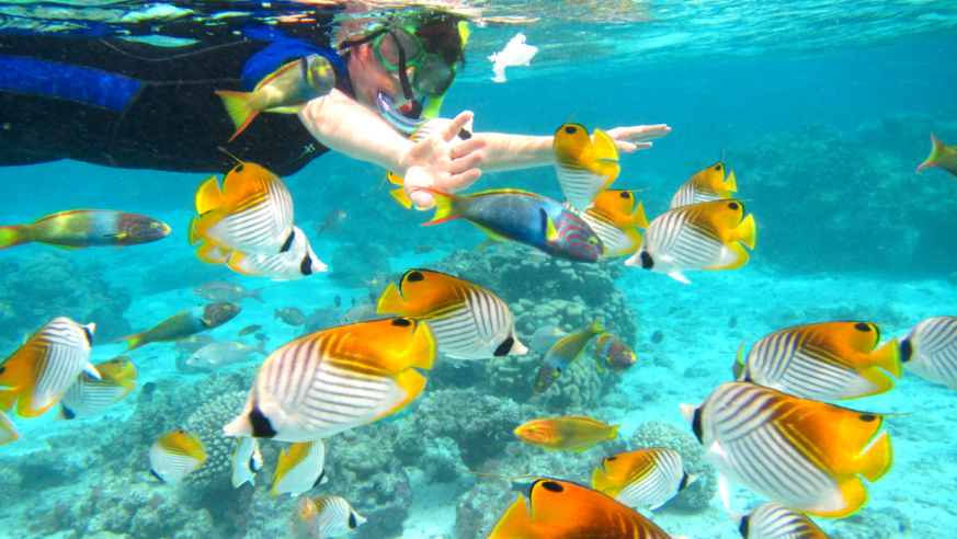 SouthPacific_CookIslands_Rarotonga_Snorkling