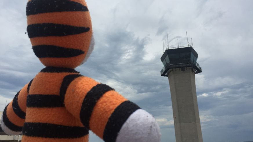 Stuffed Tiger Looking at Tampa Air Control Tower