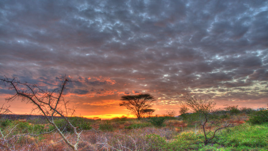 sunrise in Kenya
